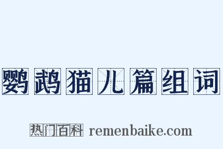鹦鹉猫儿篇组词是什么意思的图片